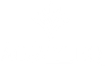 logo agavyteq positivo (1)
